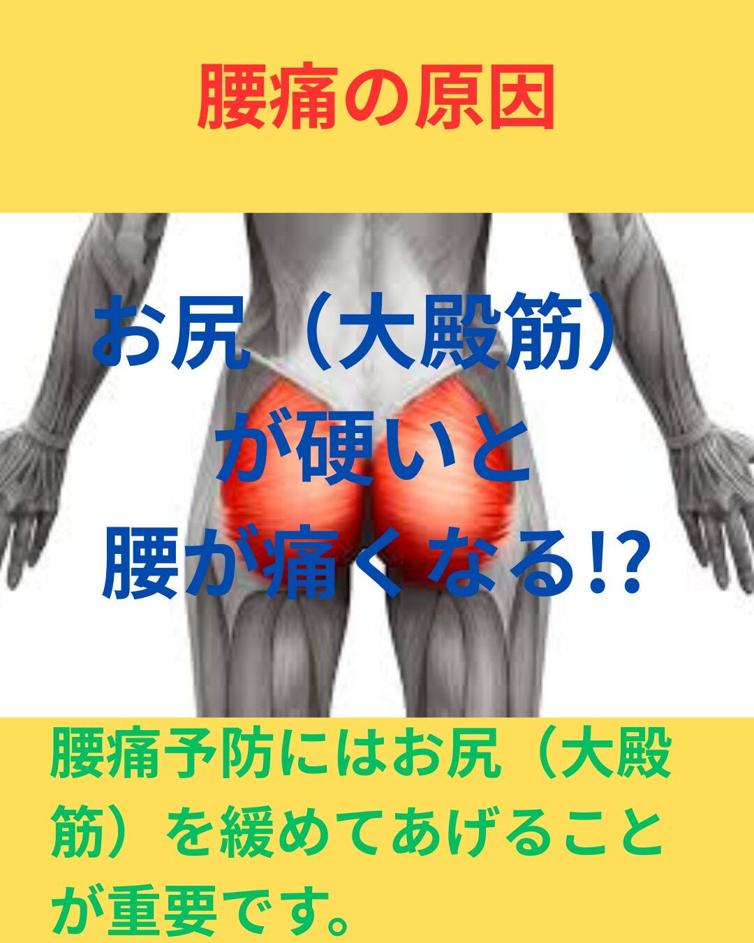 腰痛予防にはお尻（大殿筋）を緩めましょう!!