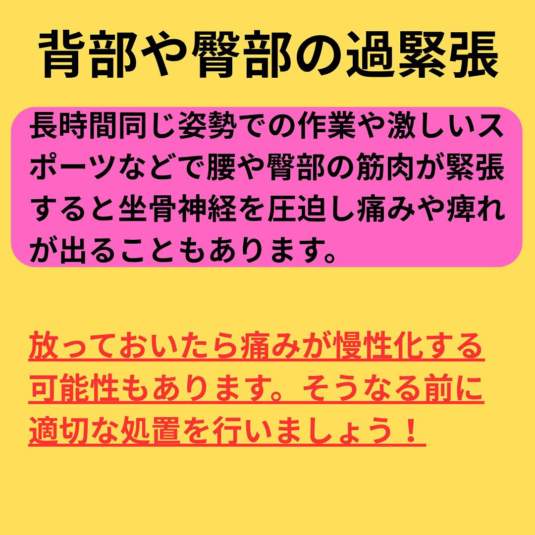 「坐骨神経痛」解説編