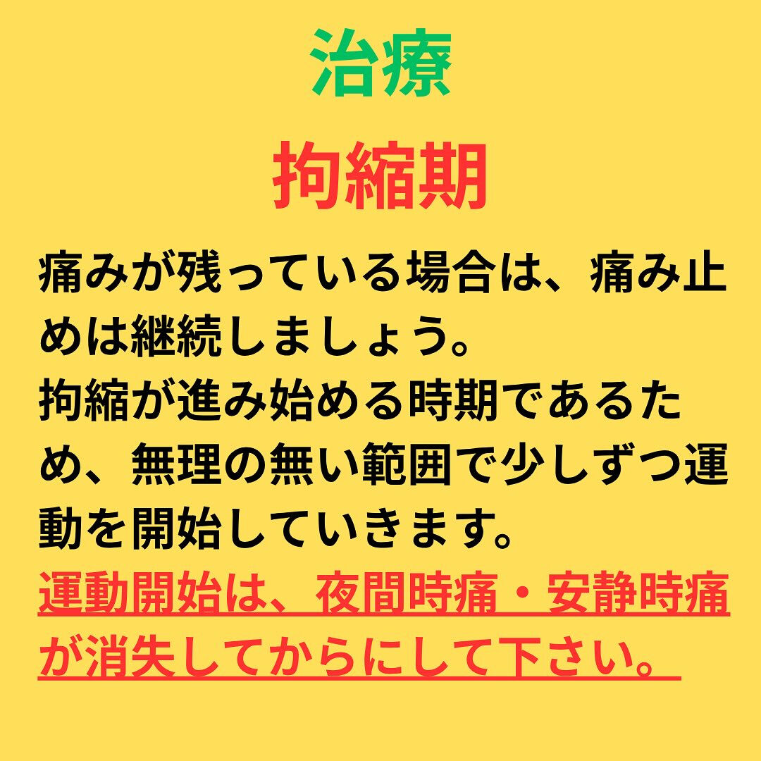 「五十肩/四十肩」解説編！