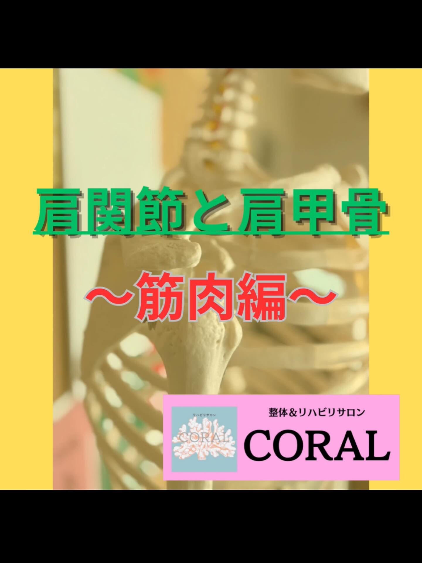 「肩関節の動きと筋肉について」